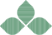 logo RSE